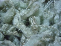 c0057781_910692.jpg
