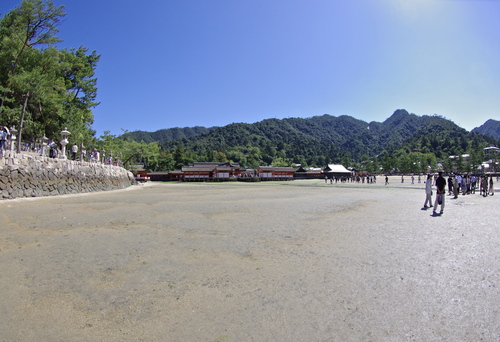 d0159982_121453.jpg