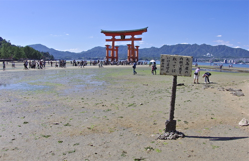 d0159982_133828.jpg