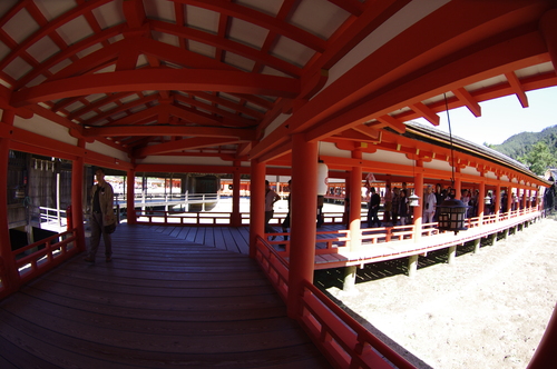 d0159982_194478.jpg