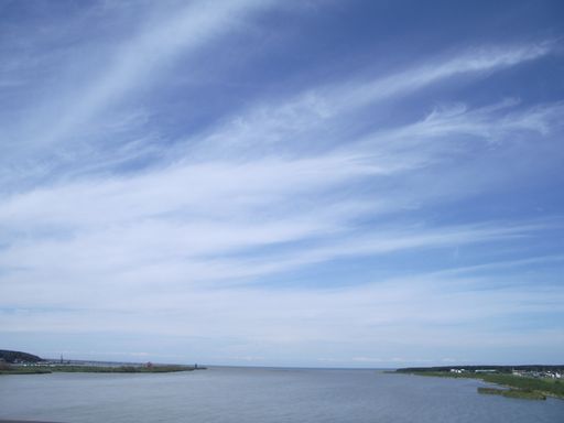 c0144683_1365550.jpg