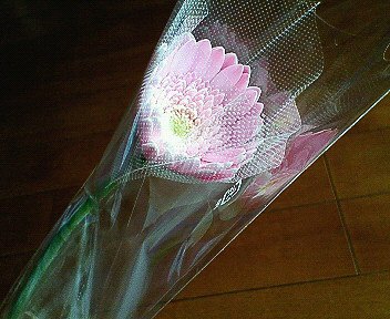 c0014187_20384597.jpg