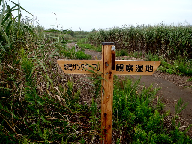 a0007388_1064566.jpg
