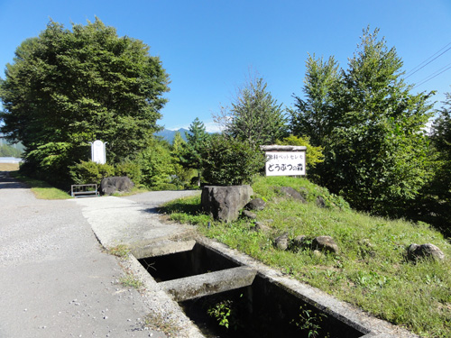 c0085188_836151.jpg