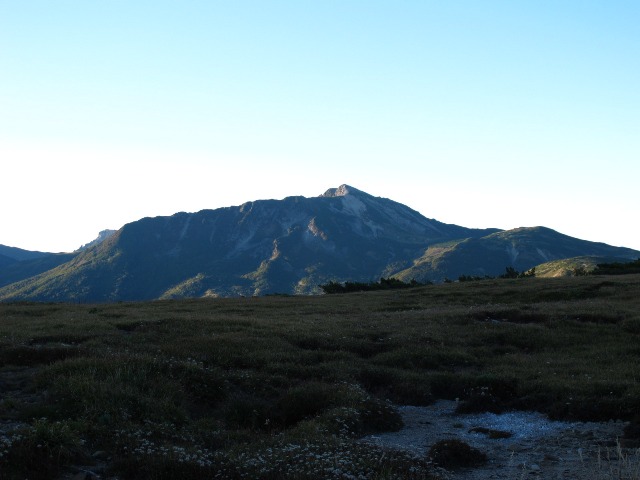 c0171790_1545366.jpg