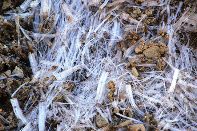 c0171790_1551039.jpg