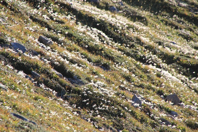 c0171790_1552617.jpg
