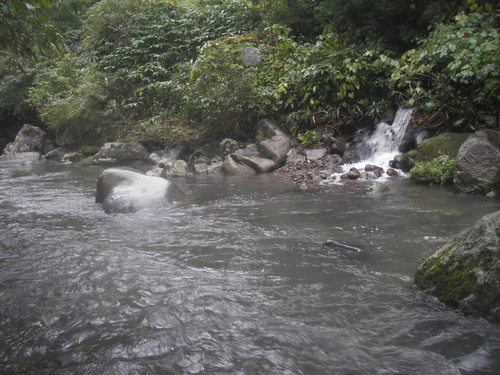 d0250395_18113713.jpg