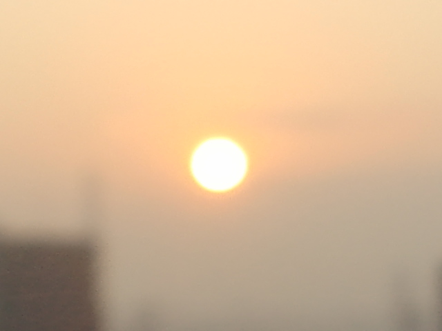 f0077595_62438.jpg