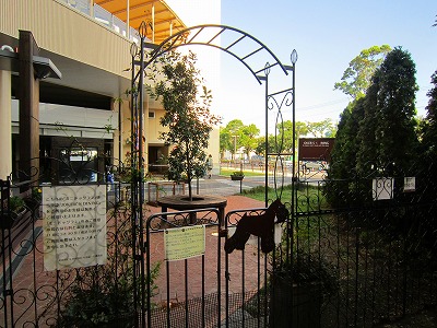 e0227996_2354221.jpg