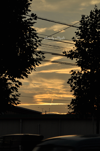 a0161698_20343996.jpg