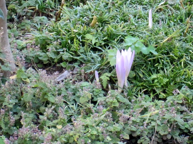 a0075800_920078.jpg