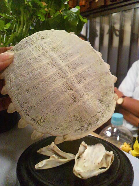 b0190603_29278.jpg