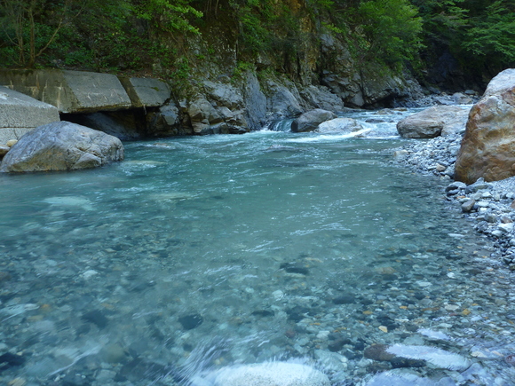 b0229003_16501496.jpg