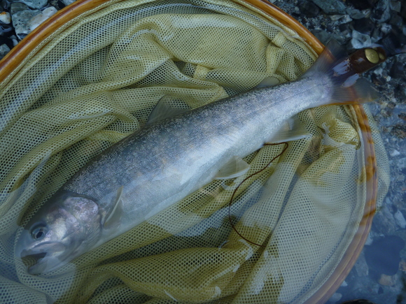 b0229003_1715614.jpg
