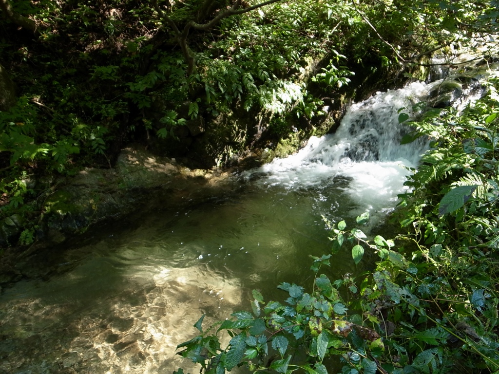 b0050305_852181.jpg
