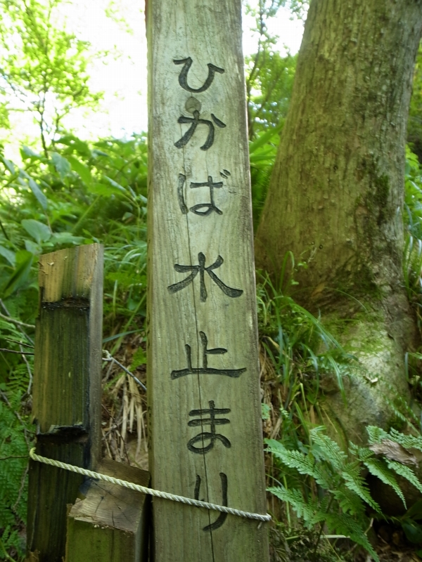 b0050305_858070.jpg