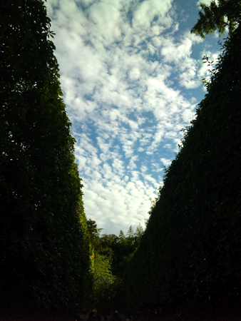 c0114110_17392931.jpg