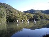 c0202613_0383456.jpg
