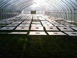 c0202613_072967.jpg