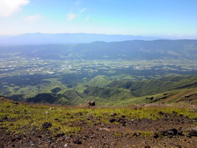 e0238313_161454.jpg