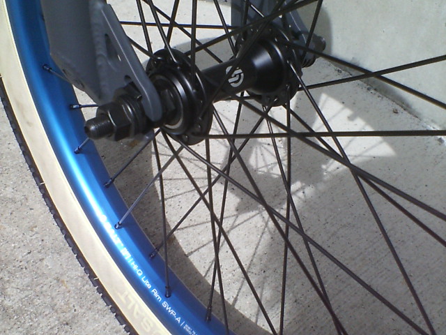 c0100318_1555375.jpg