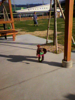 a0176220_15445697.jpg