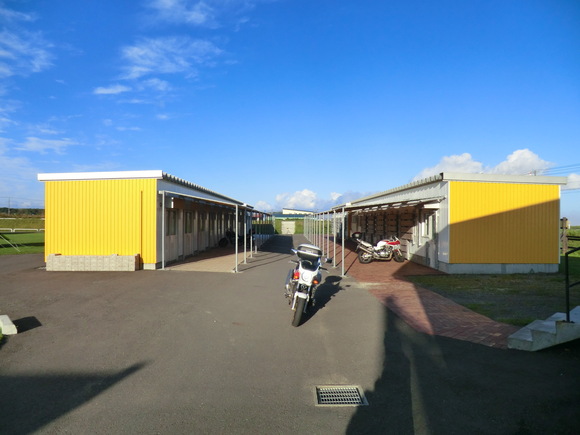 f0186021_21173132.jpg