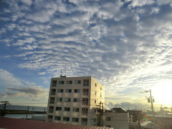 f0186021_2135025.jpg