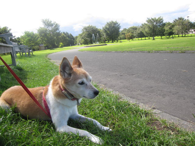 e0191826_0401865.jpg