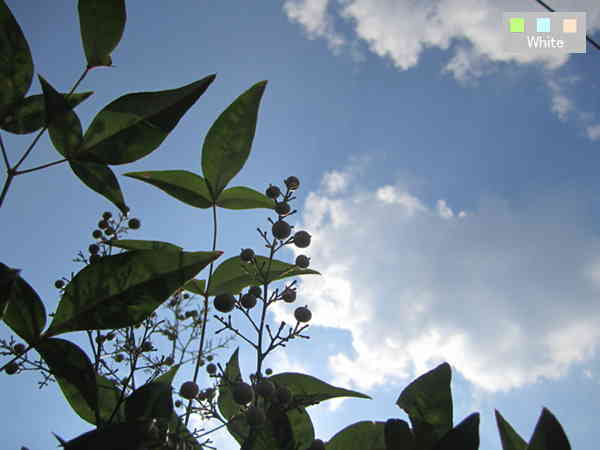c0227134_02412.jpg