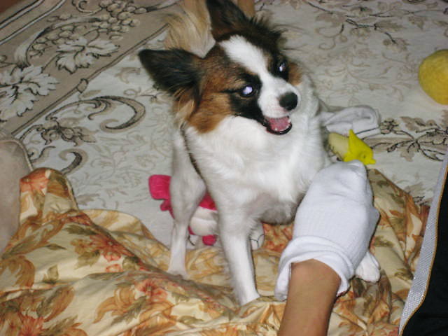 a0149240_1033875.jpg