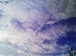 d0169340_926155.jpg
