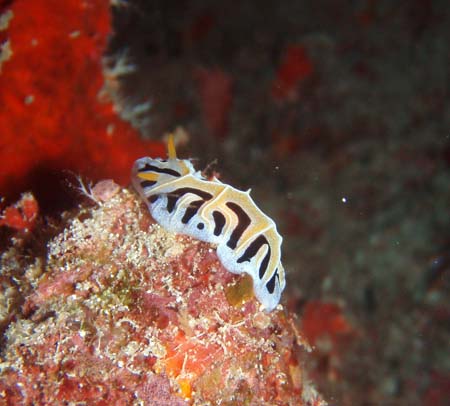 f0014842_16185649.jpg