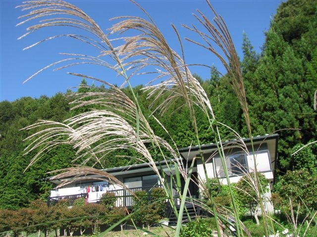 f0151044_7185012.jpg