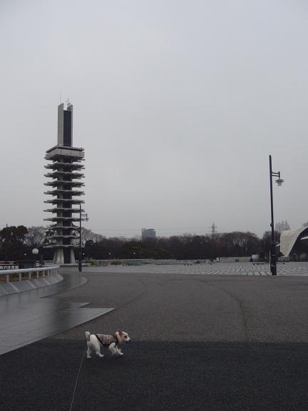 c0156345_13201445.jpg