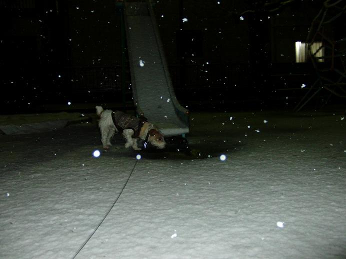 c0156345_13232314.jpg