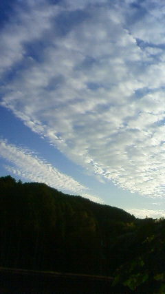b0132746_193010100.jpg