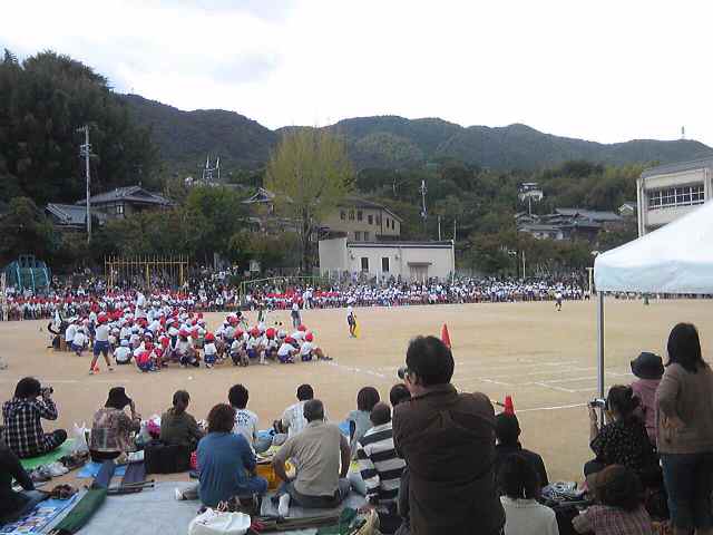 a0118951_11165080.jpg