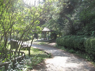 d0031853_23574196.jpg