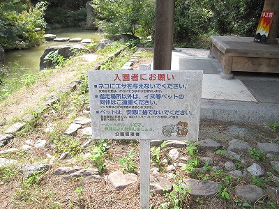 d0031853_235836100.jpg