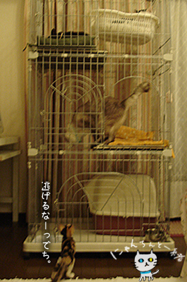 e0031853_14295639.jpg
