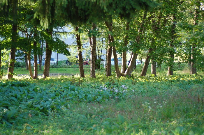 f0114954_2311789.jpg