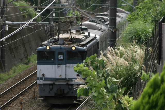 b0002858_23521289.jpg