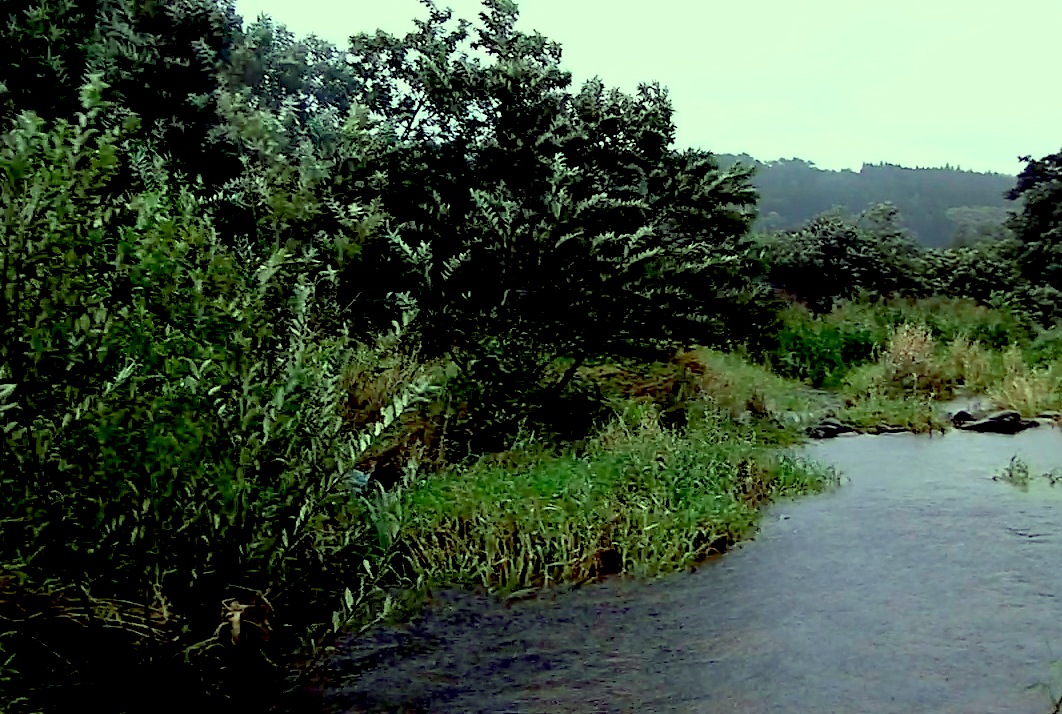 f0163561_801890.jpg