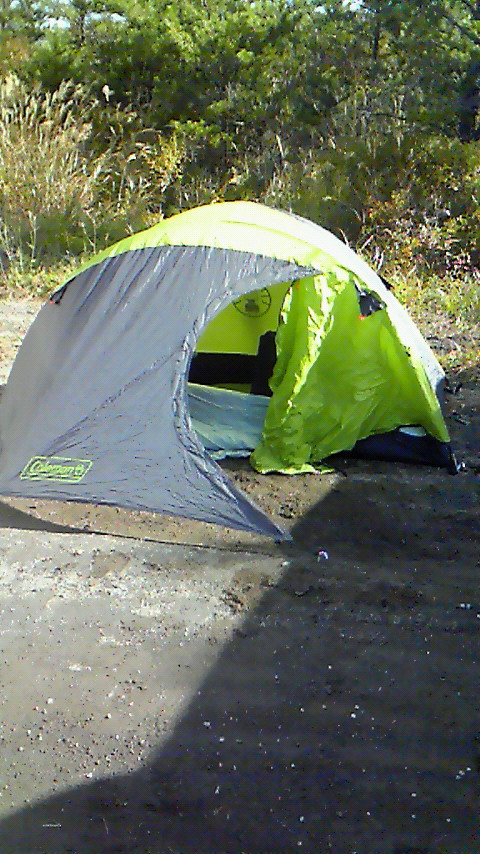 c0198263_9263350.jpg
