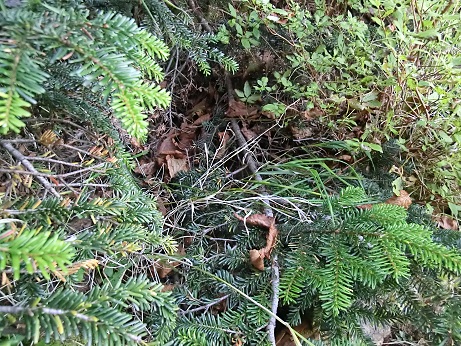 b0178466_1932535.jpg