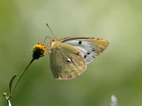 f0208666_17112729.jpg