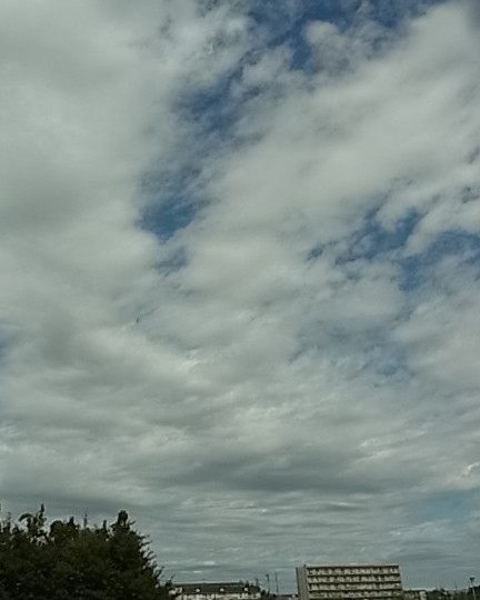 b0185771_1657713.jpg