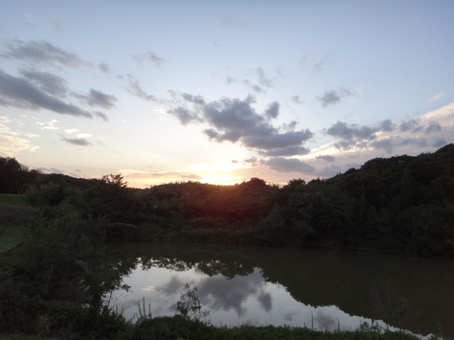 c0135271_20535010.jpg